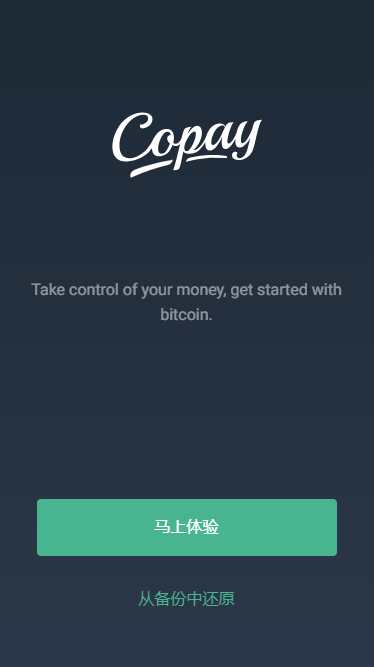 虚拟货币钱包Copay运行Note-子贤的独立博客